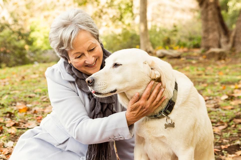 Abbandono animali, i comaschi chiedono più sanzioni