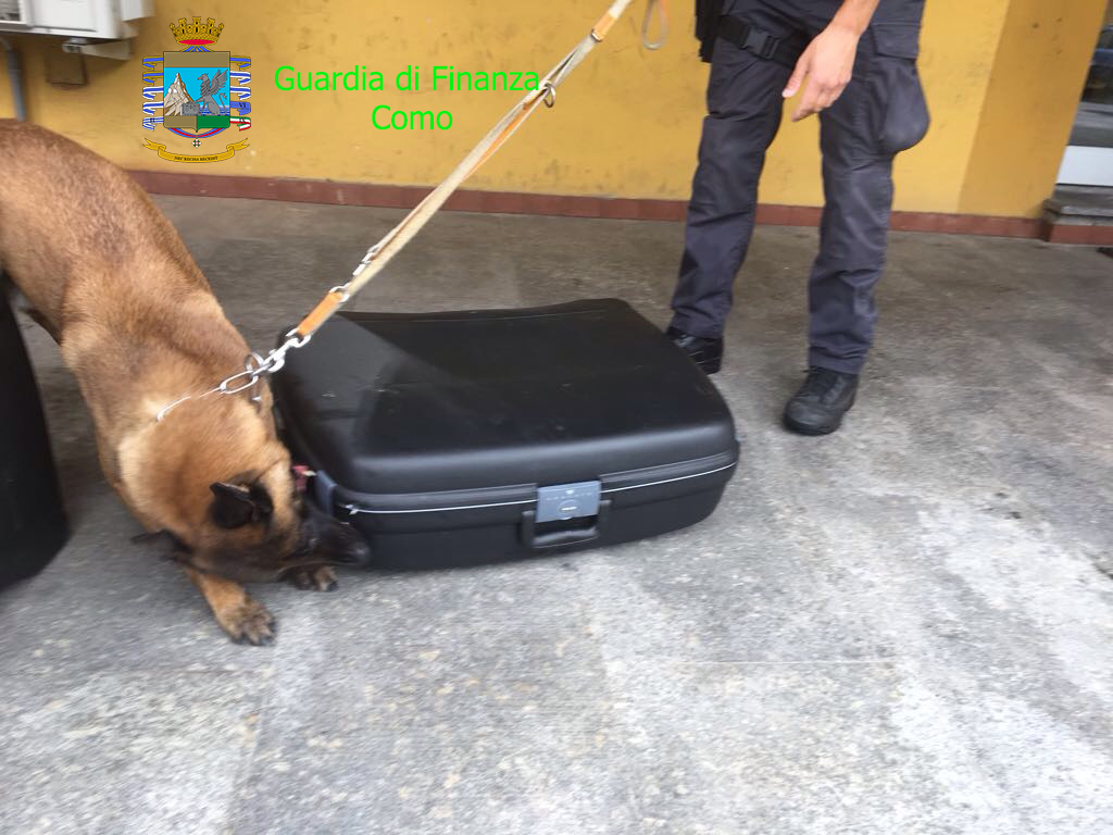 Sequestrati 5 kg di eroina, merito dei cani Caymon e Haila. FOTO