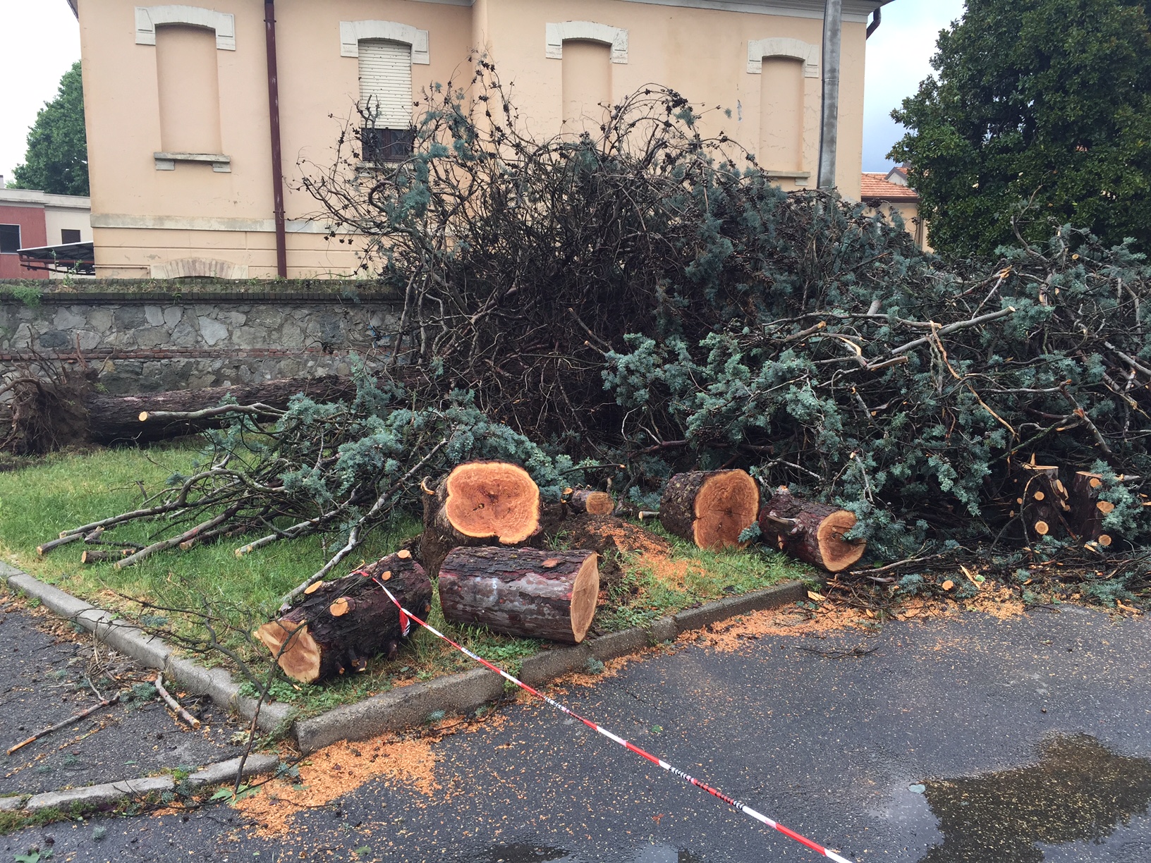 Danni causati dal maltempo a Lurate Caccivio, pianta abbattuta