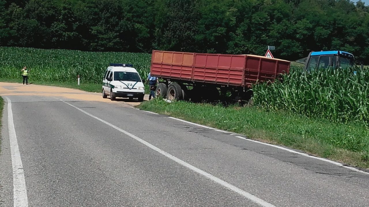 Trattore fuori strada, quintali di frumento sulla carreggiata
