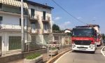 Incendio, gattino salvato dai Vigili del fuoco. VIDEO