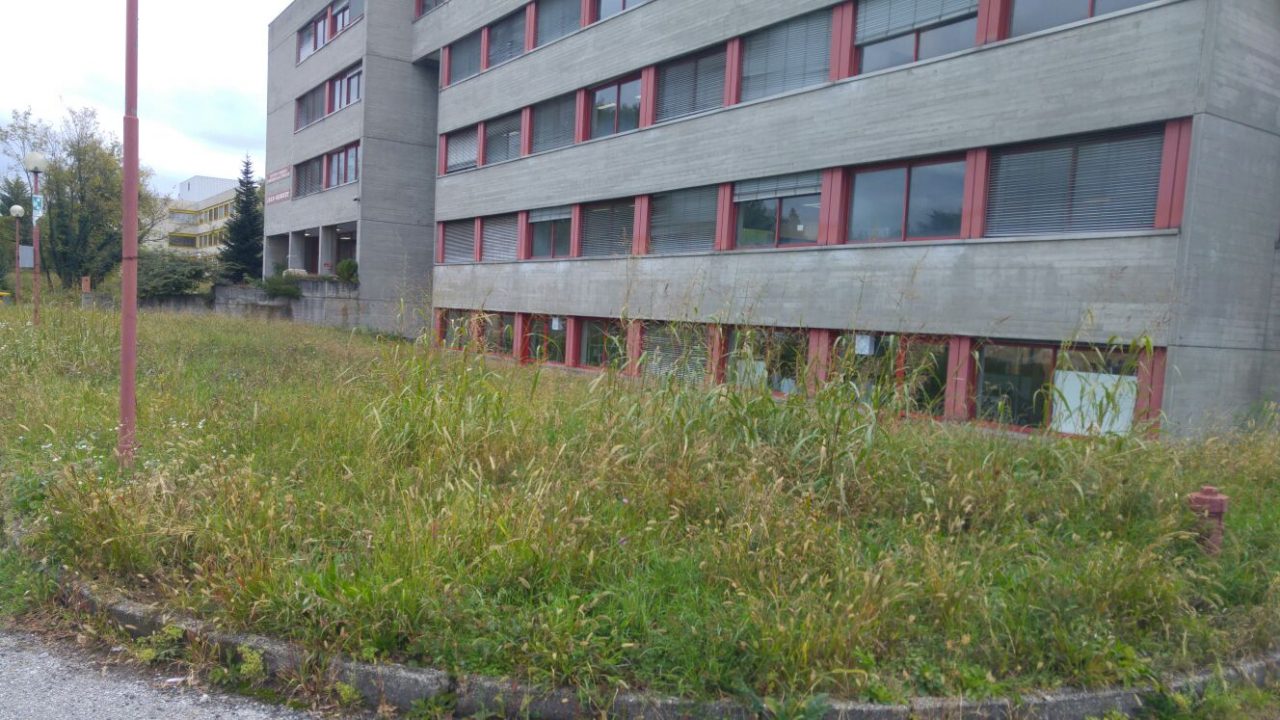 Insulti sul muro dell’istituto Jean Monnet a Mariano. FOTO
