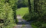 Parco della Valle del Lambro, distribuiti falsi volantini per il parcheggio di Montorfano