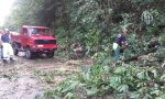 Piante e massi caduti, Berlinghina bloccata. VIDEO