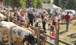 Fiera zootecnica, è tutto pronto