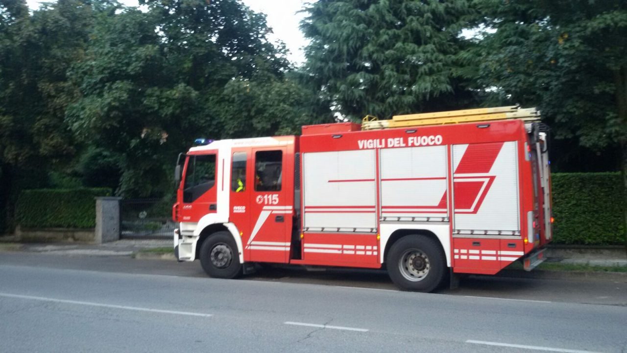 Piccolo di capriolo salvato dai Vigili del fuoco. FOTO