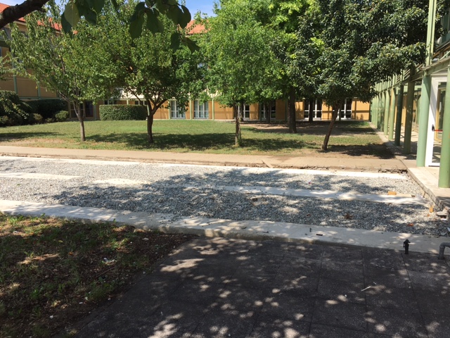 La scuola di Olgiate riottiene il suo giardino