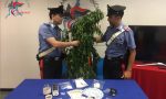 Blitz dei Carabinieri con i cani antidroga: arrestati due 60enni