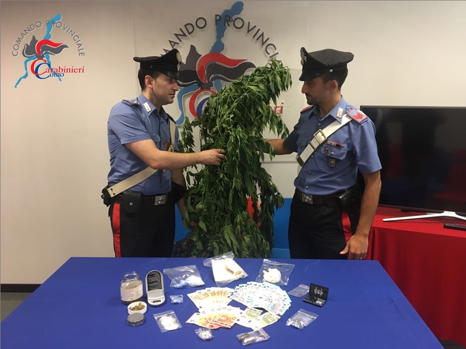 Blitz dei Carabinieri con i cani antidroga: arrestati due 60enni
