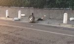 Auto si schianta contro i panettoni della pista ciclabile a Perticato. FOTO