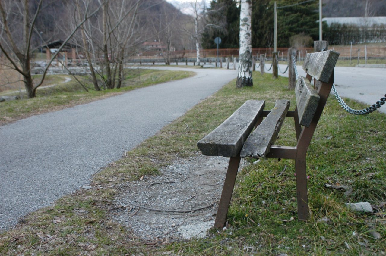 Morso da un cane: polemica al Segrino