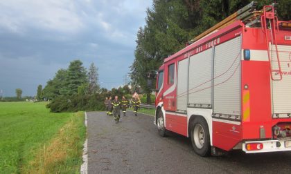 Cade dalla bici nei boschi tra Lomazzo e Bregnano