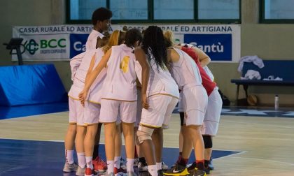 Basket femminile Cantù-Pro Patria di C apre domani il weekend