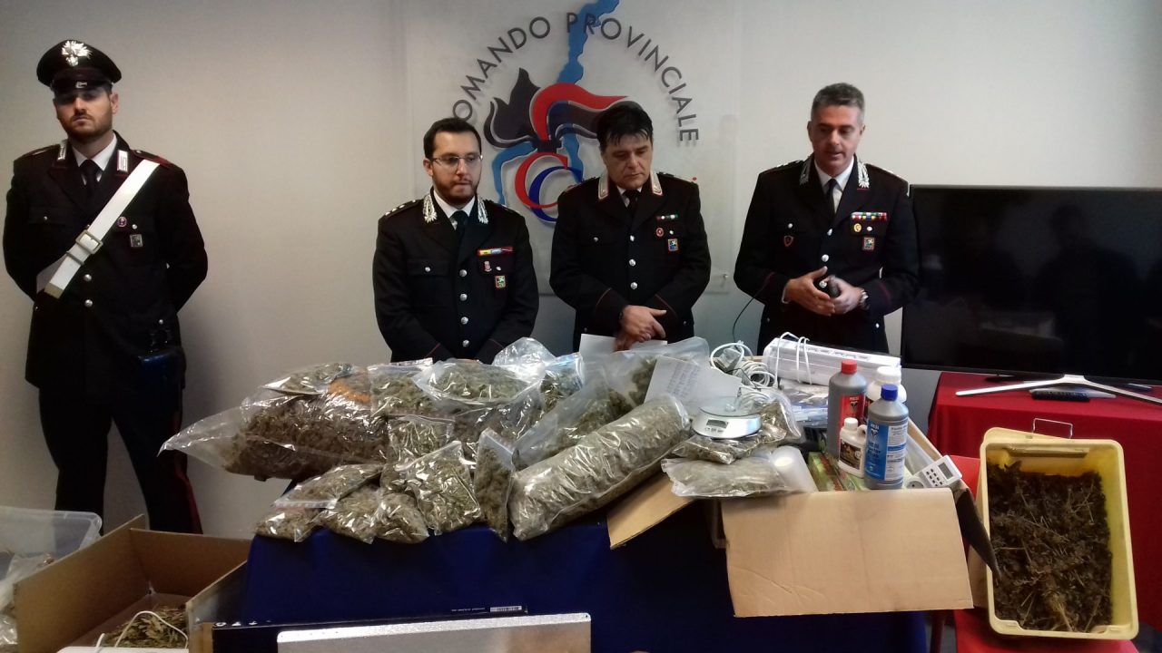 Rovello Porro arrestati: coltivavano marijuana