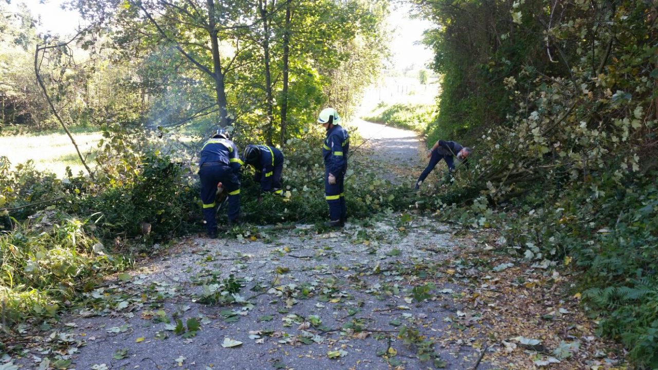 Vento forte a Casnate: abbattute due piante FOTO