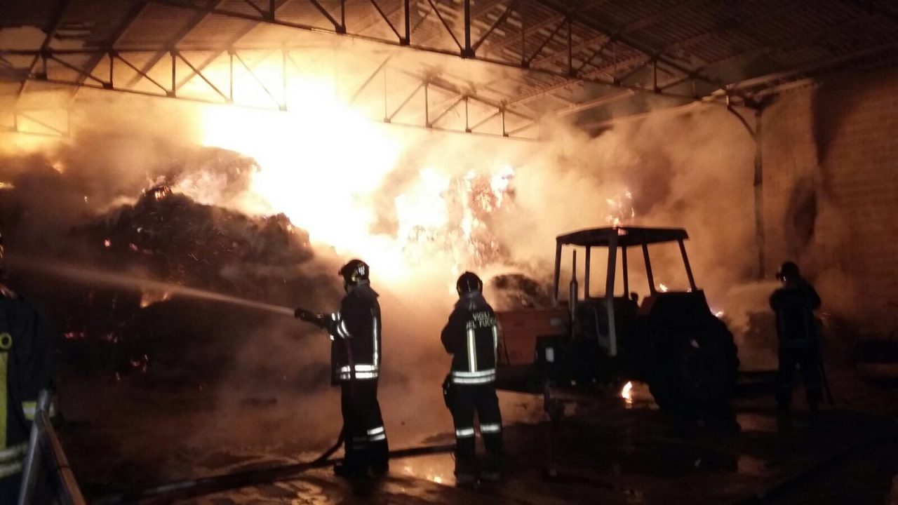 Rogo nell’azienda agricola, capannone distrutto
