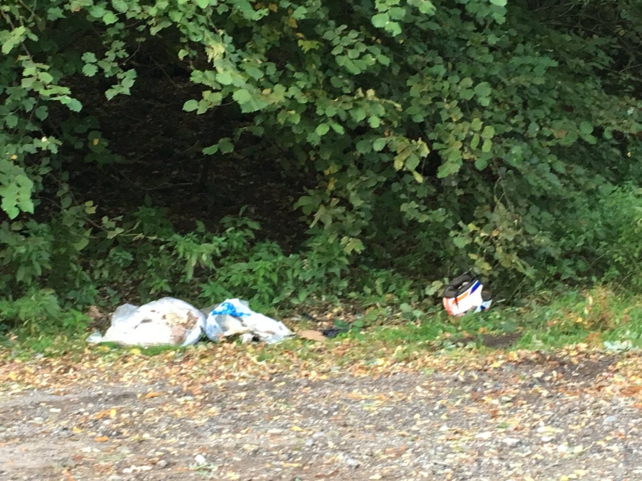 Discariche abusive, dopo sedie e merendine un’altra (sgradita) sorpresa