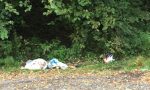 Discariche abusive, dopo sedie e merendine un'altra (sgradita) sorpresa