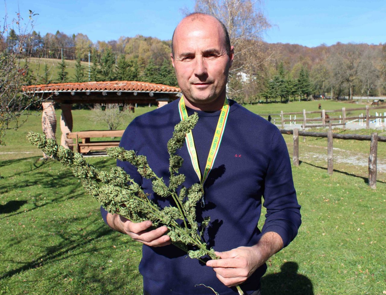 Canapa Val d’Intelvi: la prima produzione sperimentale