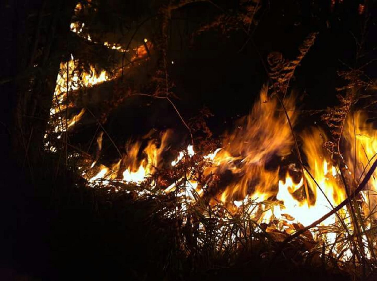 Incendio Tavernerio bruciano 10 ettari VIDEO