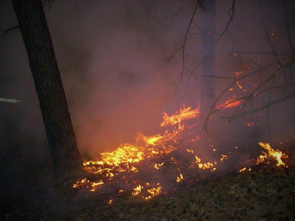 Incendio Tavernerio, rimandata la castagnata al Ponte dei Bottini