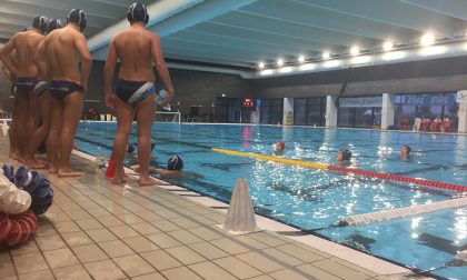 Como Nuoto alle ore 19 il team A2 maschile si presenta in viale Geno