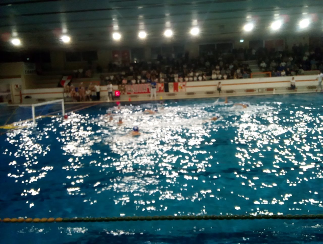 Como Nuoto: i lariani vincono in volata con Chiavari