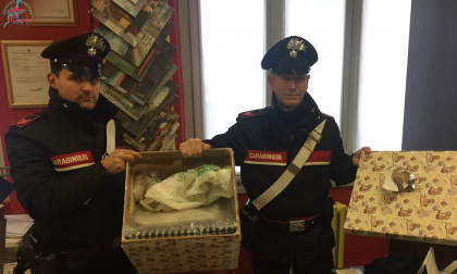 Furto supermercato arrestato dai Carabinieri