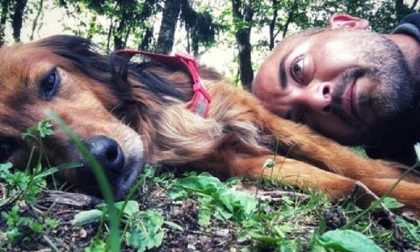 Cane ritrovato dopo 20 giorni lontano da casa