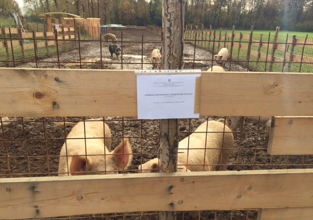 Fattoria delle coccole “Non portate più lì animali”