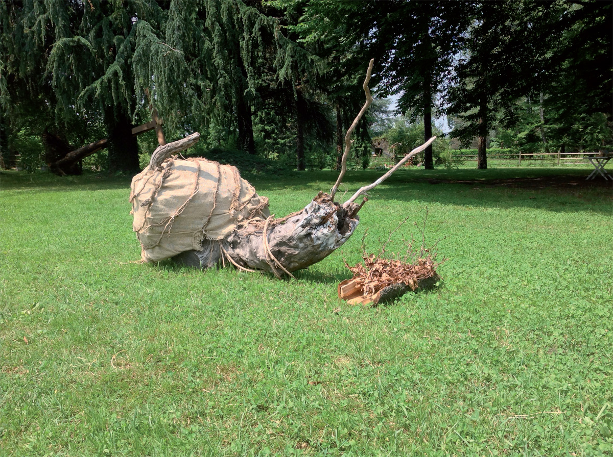 Arte natura c’è il catalogo della biennale di Mariano