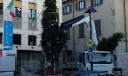 Issato l'albero di Natale