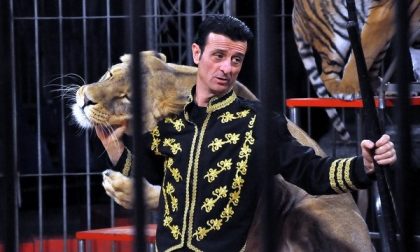 Circo a Como il Movimento Animalista attacca: "Un atto di violenza"