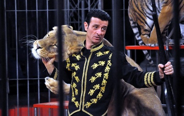 Circo a Como il Movimento Animalista attacca: “Un atto di violenza”