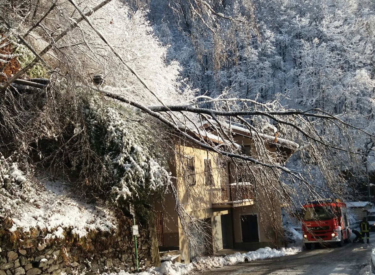 Alberi caduti per la neve creano disagi a San Nazzaro