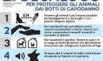 Botti e polemiche, decalogo per proteggere gli animali