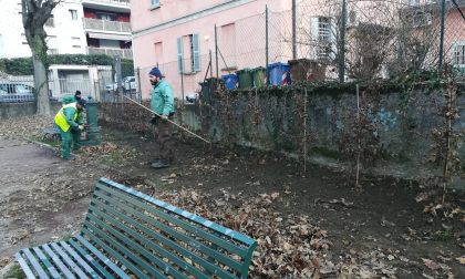 Piante rubate al giardino di via Beccaria FOTO