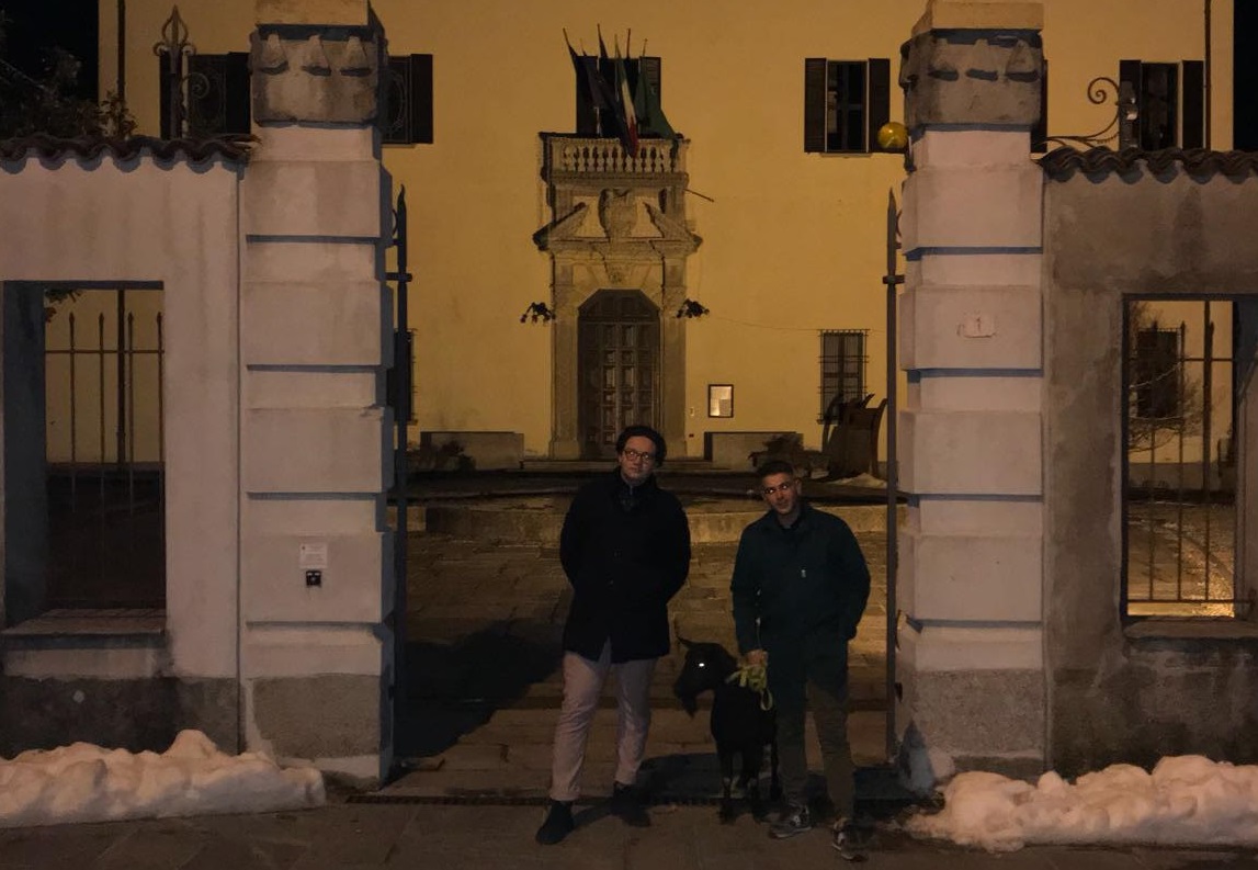 Capra in fuga sulla provinciale a Cavallasca FOTO