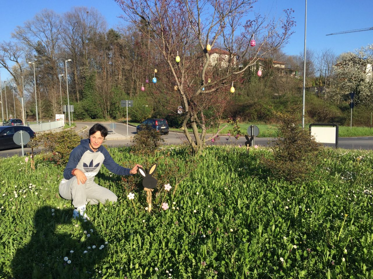 Lady ecologia pulisce la Lomazzo-Bizzarone STORIE DEL 2017