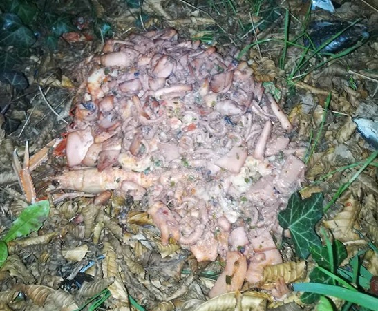 Spazzatura abbandonata, svuotano le pentole sotto gli alberi FOTO