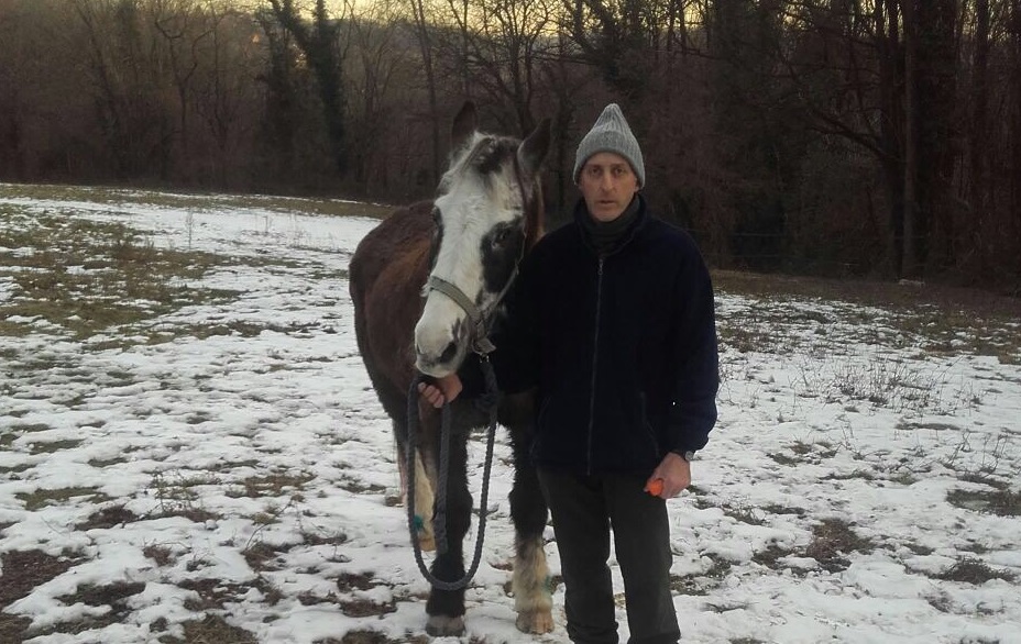 Notte al gelo per salvare un cavallo