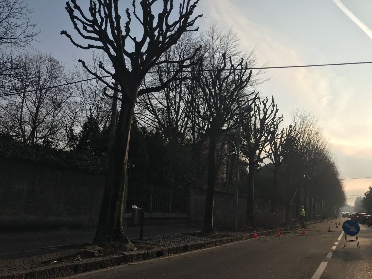 Rallentamenti traffico per lavori di potatura