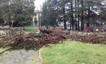 Crolla albero nel parco di villa Calvi FOTO