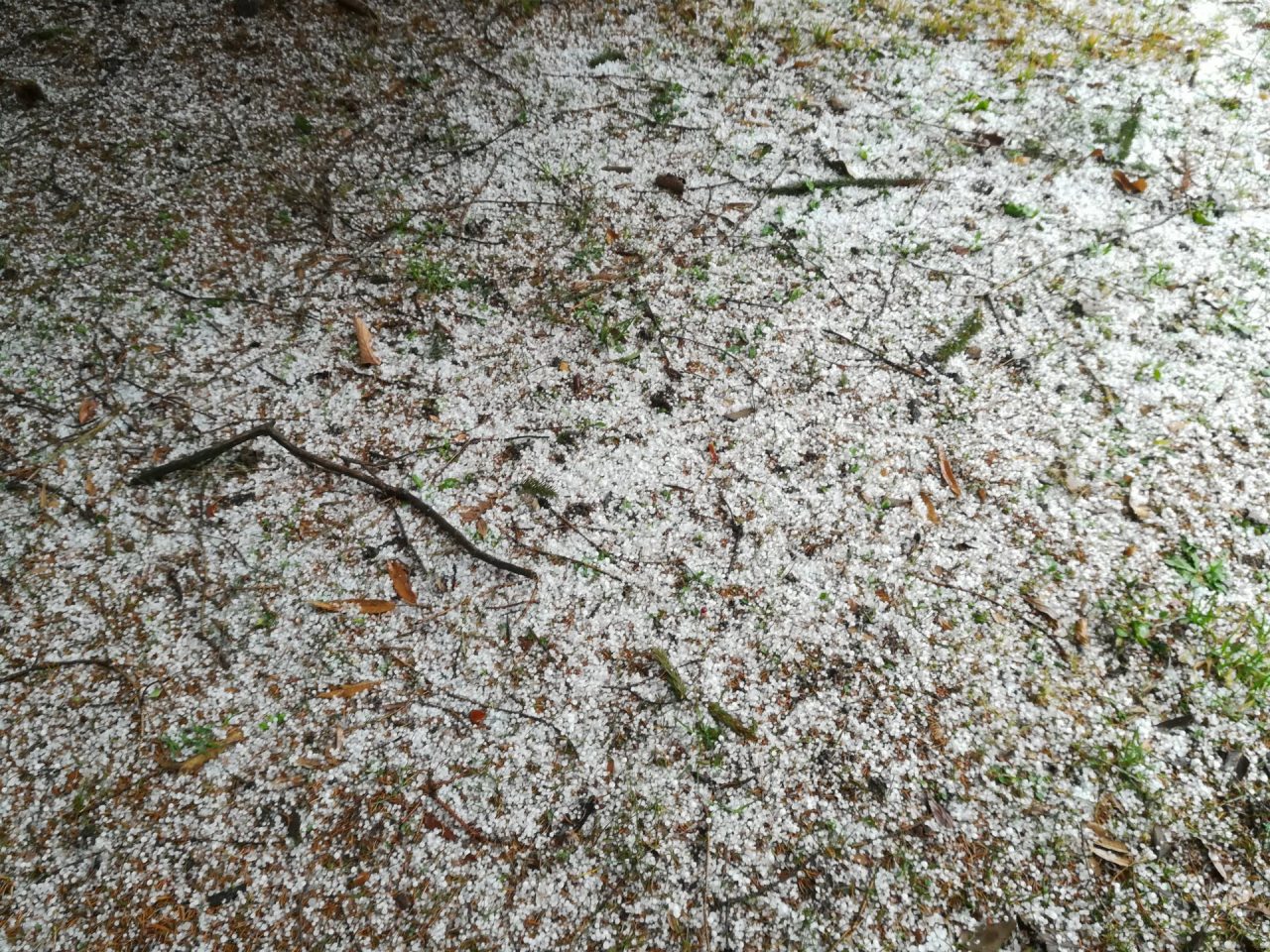 Grandinata sorprendente e temporale