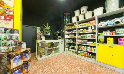 Negozi cannabis boom in Lombardia: a Como un growshop