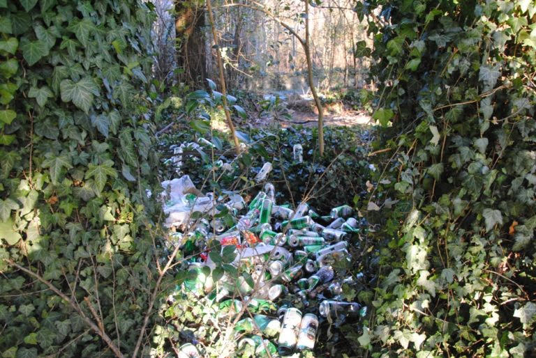 Como discarica a cielo aperto il Codacons fa denuncia