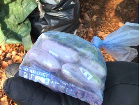 Spaccio a Pianbosco smantellata la base dei pusher a Venegono