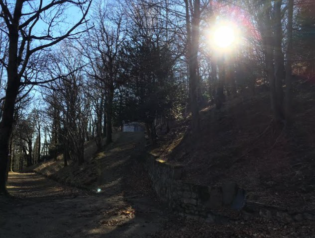 Parco di Villa Plinia ricerca volontari per la cura del verde