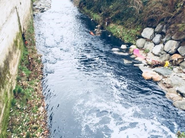 Il fiume Seveso è blu colpevole un’azienda di Senna? FOTO