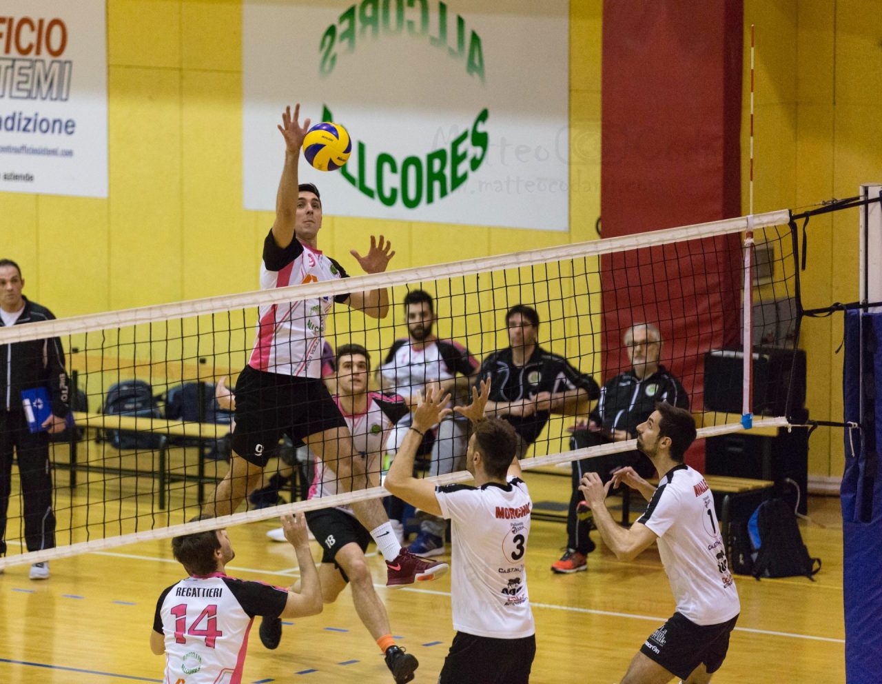 Yaka Volley affronta Pallavolo Acqui Terme: partita caldissima